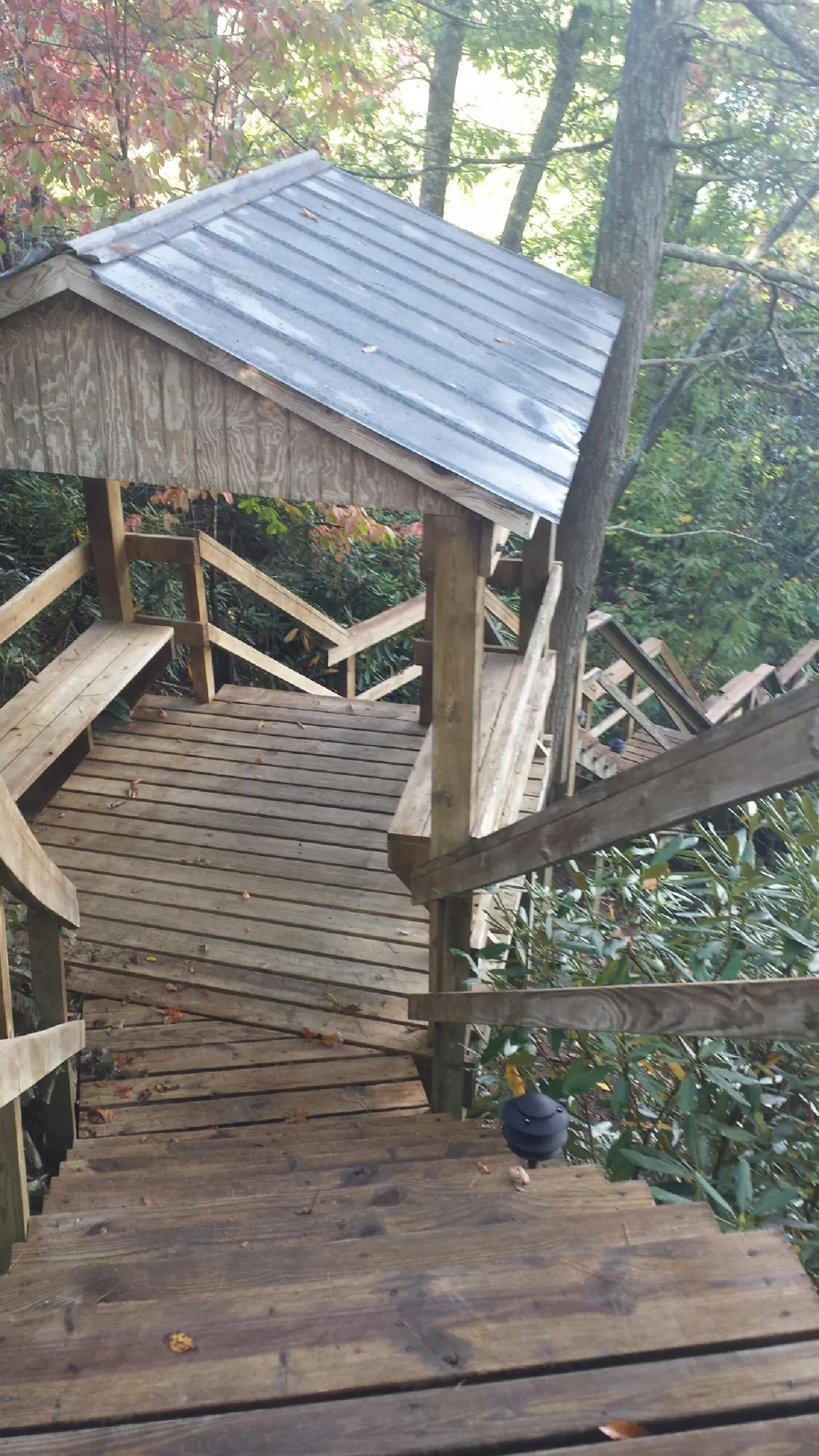 Metal roofed shelter over wooden steps on a wooded walkway — Skylight Repair & Installation work by our crew in Milton Freewater