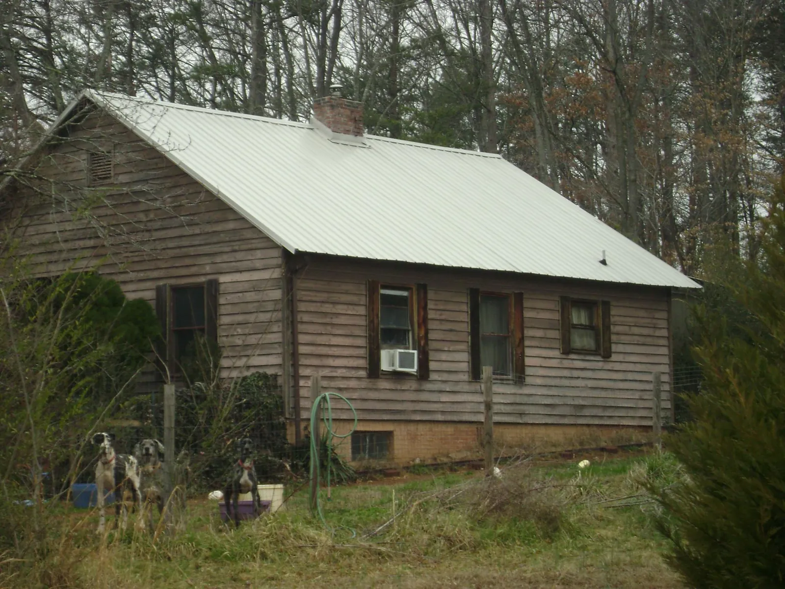 White metal roof on an old wood sided farmhouse, from a Metal Roof Installation job in Milton Freewater